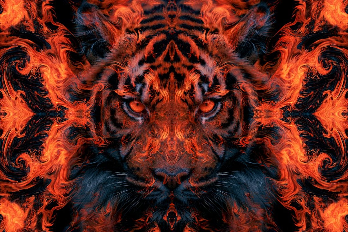 اثر LudovicCreator