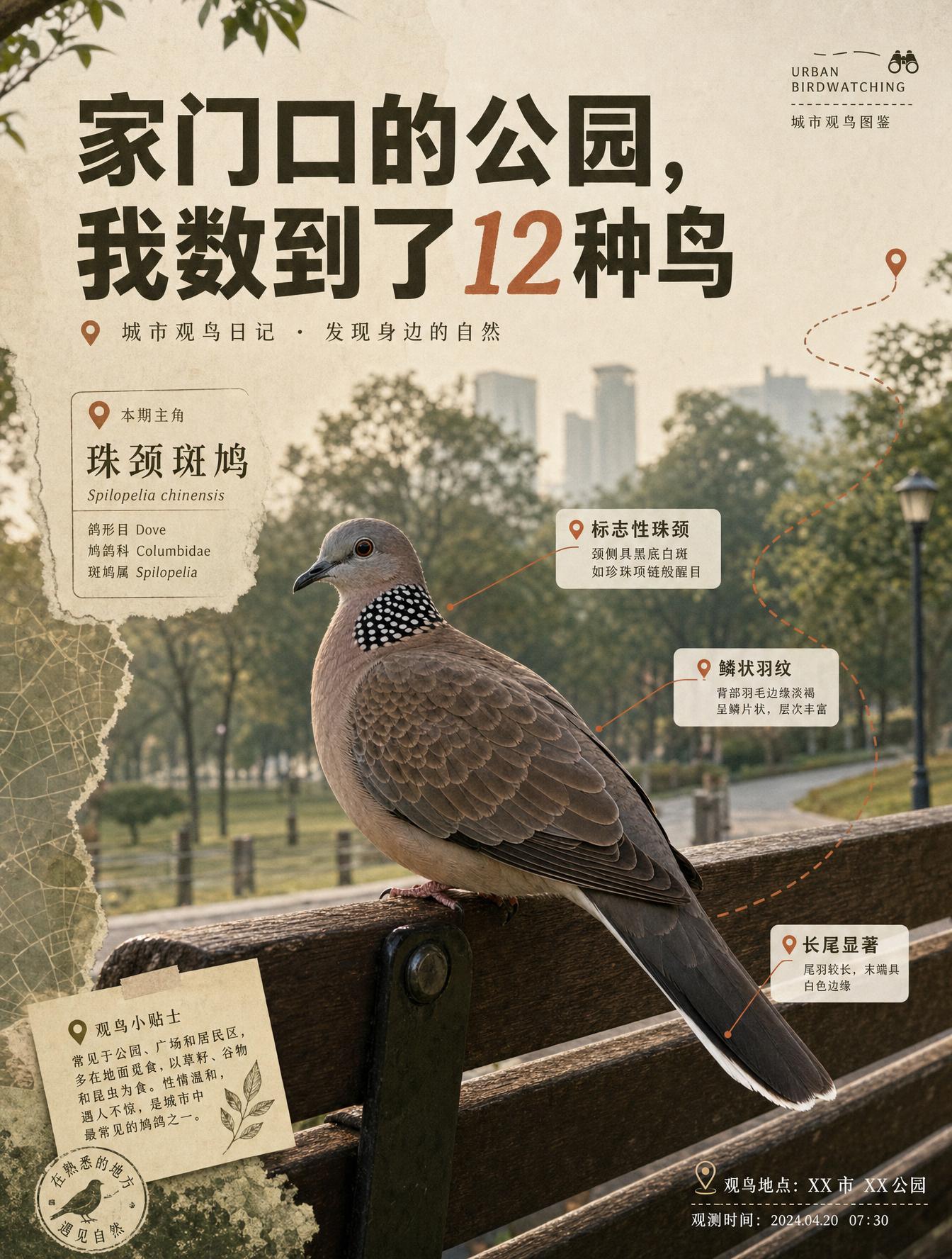 اثر user_3f39e769